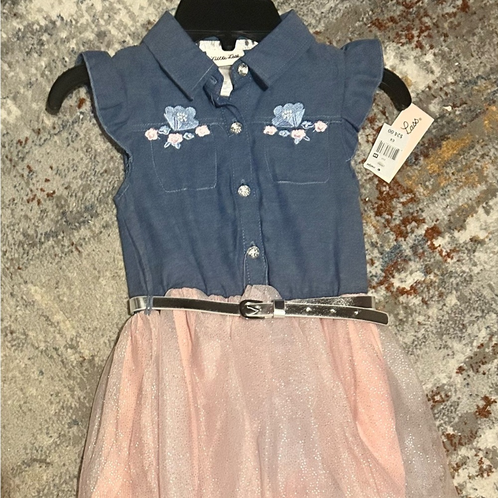 Blue and Pink Embroidered Dress with Belt